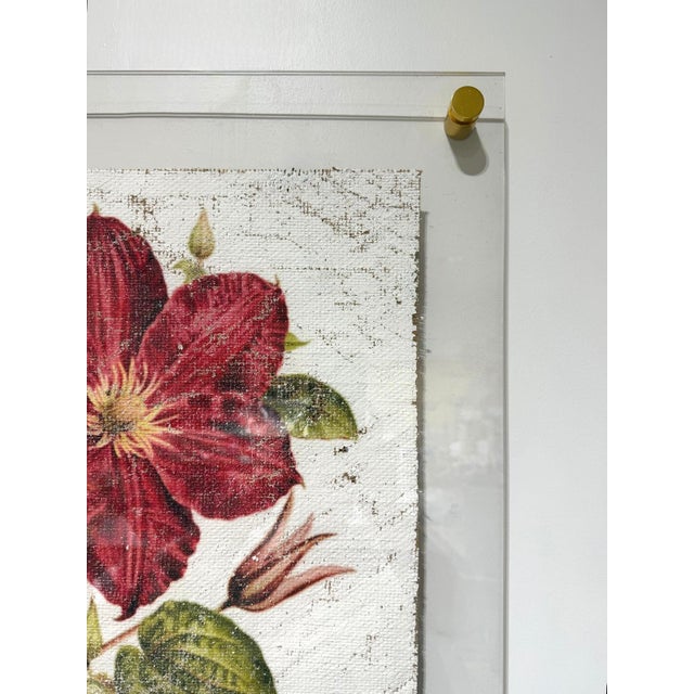 2020s Crimson Clematis — Hand Textured Red Flower Art For Sale - Image 5 of 7