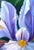 "Silver Beauty Irises" Contemporary Floral Still Life Oil Painting on Canvas by Natalia Bessonova For Sale - Image 4 of 4