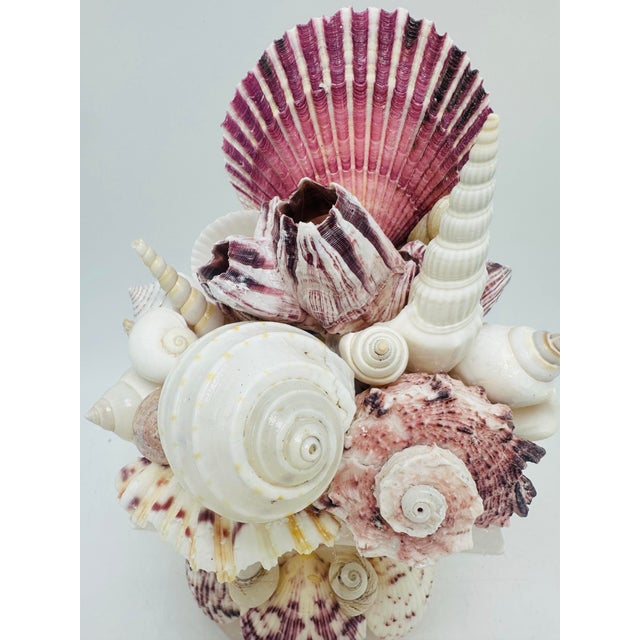 This stunning shell sculpture is a rich, symmetrical composition that evokes the elegance of a floral arrangement made...
