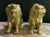 Pair of Chinoiserie Gold Gilt Foo Dog Accents or Bookends by Sadek. Great for Palm Beach Regency, Hollywood Regency, Feng Shui or Traditional Decor For Sale In New Orleans - Image 6 of 9