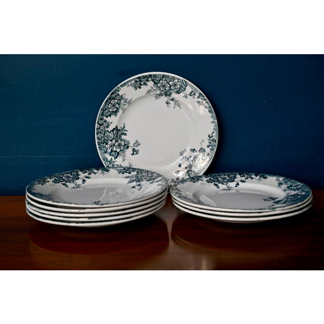 Vintage Flat Plates Service, 1920s, Set of 9 For Sale - Image 6 of 6