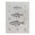Mid 19th Century Us Pacifc Railroad Fish Lithograph Book Plate For Sale