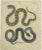 Set of two antique prints of various snakes including the boa constrictor, emerald tree boa, rhinoceros viper and rug...