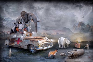 To the Rescue by Marcin Owczarek | Photography - Dye Sublimation on Aluminum Fire truck with animals