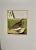 This is a hand-colored engraving of a Falkland Island Quail ("Caille des Isles Malouines") by Francois Nicolas Martinet,...