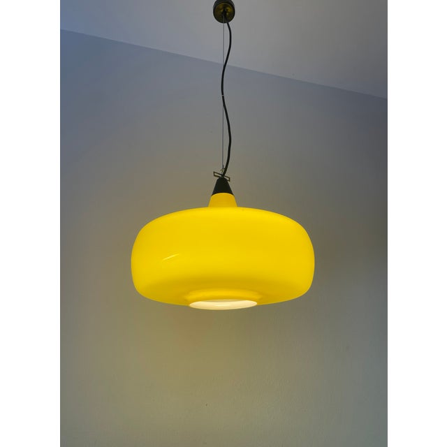 Mid-Century L114 Murano Ceiling Lamp by Oreste Vistosi and Peter Peltzel for Vetreria Vistosi, 1960s For Sale - Image 6 of 18