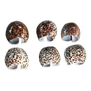 Natural Tiger Cowrie Shell Napkin Rings- Set of 6