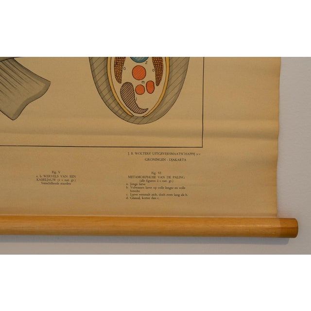 The poster, paper on linen, is mounted between two light-colored wooden supports. The subject, designed by L. Dorsman for...