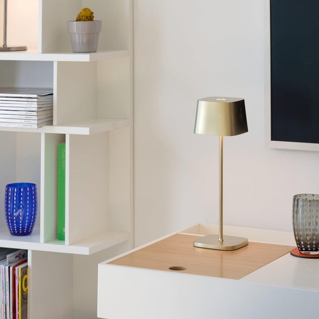 Battery-operated and rechargeable portable table lamp. The lamp features dimming touch control and dimmer memory function,...