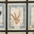 20th Century Italian Large Oak Frame with Pressed Flowers and Herbs, 1950s For Sale - Image 9 of 15
