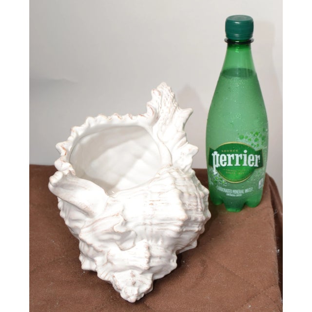 Ceramic 1980s Italian Regency Terra Cotta Glazed Sea Shell Planter Sculpture For Sale - Image 7 of 12