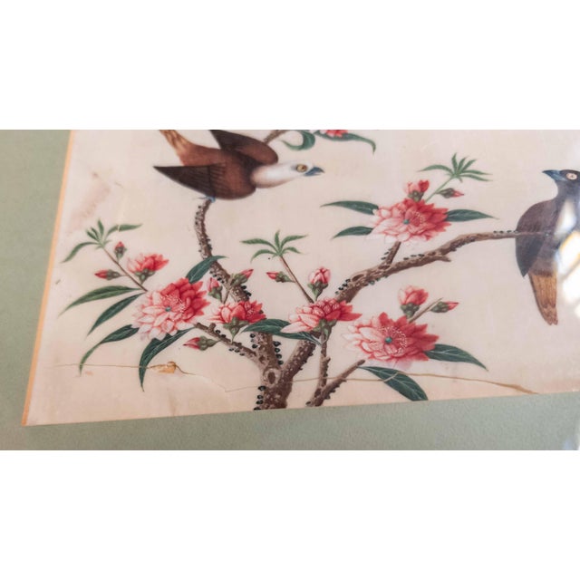 19th or 20th Century Chinese Watercolor Pith Paper Painting of Birds Arguing For Sale - Image 15 of 16