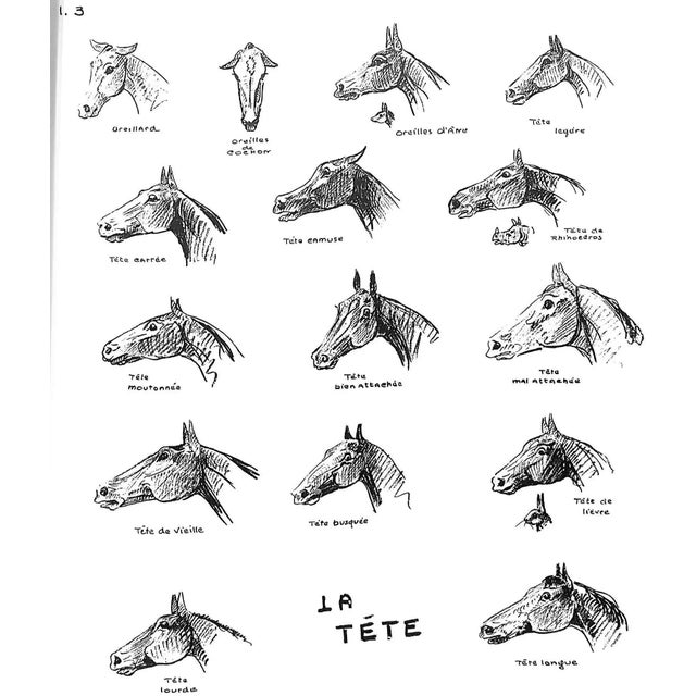 "Conquete Du Cavalier" 1968 Benoist-Gironiere, Y. For Sale In New York - Image 6 of 13