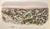 Victorian 19th-Century Princeton University Hand-Colored Lithograph, Restored For Sale - Image 3 of 8