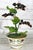 Didier Gardillou – Porcelain Blackcurrant Bush in an 18th-Century Holder by the Manufacture À La Reine For Sale - Image 4 of 7