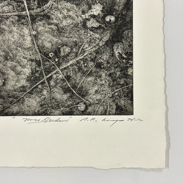 1970s Stephen Raul Anaya - Moss Garden, Signed (1974, Etching) For Sale - Image 5 of 5