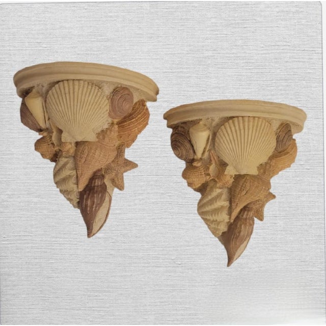 Vintage Coastal Regency Seashell Form Off White Tan Wall Brackets Sconces- a Pair For Sale In West Palm - Image 6 of 6