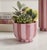 Ceramic Pink Striped Compote Bowl Vase For Sale - Image 7 of 8