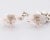 Mid 20th Century Vintage Georg Jensen Sterling Silver "Grapes" Screwback Earrings No. 40 - 2 Pieces For Sale - Image 5 of 12