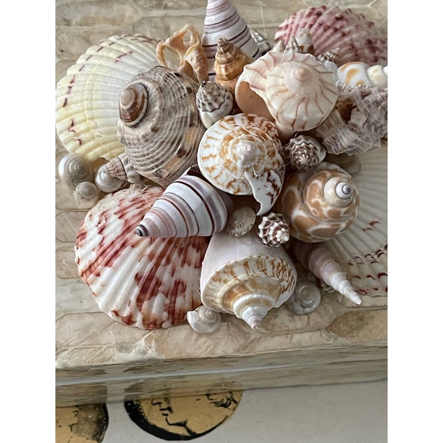 Mid 20 Th C Sea Shells Shell Encrusted Box For Sale In Miami - Image 6 of 7