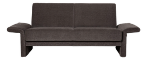 Fabric Sofa Gray 2-Seater Sofa & Daybed by Brühl Cara