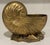 Vintage Large Scale Palm Beach Style Brass Nautilus Shell Planter For Sale - Image 10 of 17