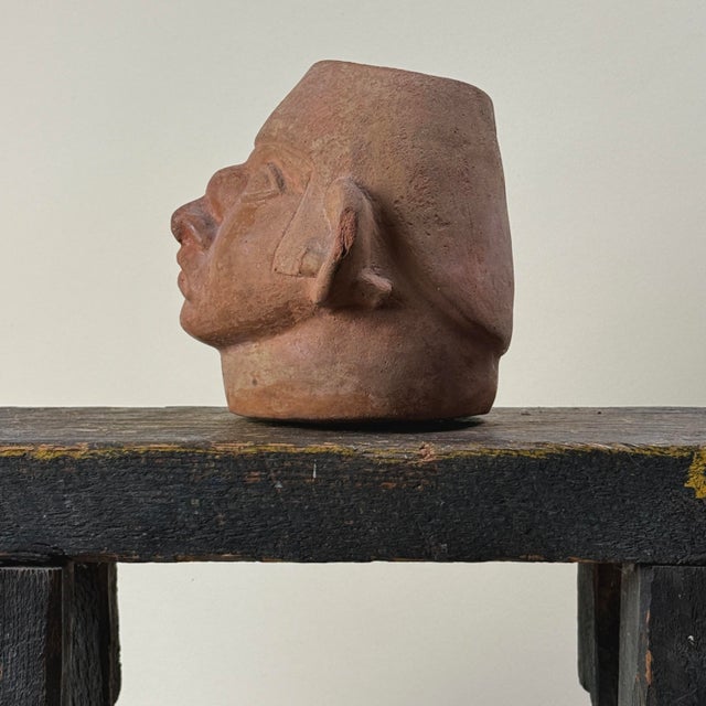 Rare Pre-Colonial Moche Portrait Head Vessel With Tumor and Facial Paralysis (Circa a.d. 200-500) For Sale - Image 4 of 10