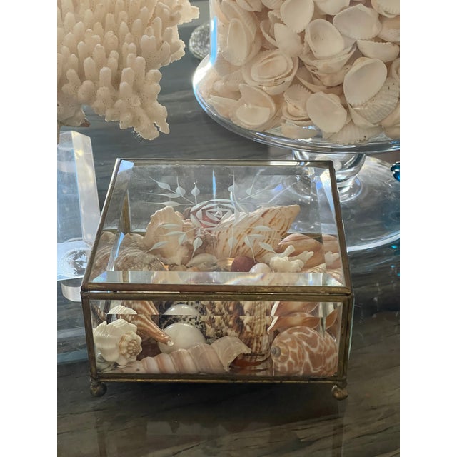Shell Antique Crystal Bevelled Glass Brass Box With Sea Shells For Sale - Image 7 of 9