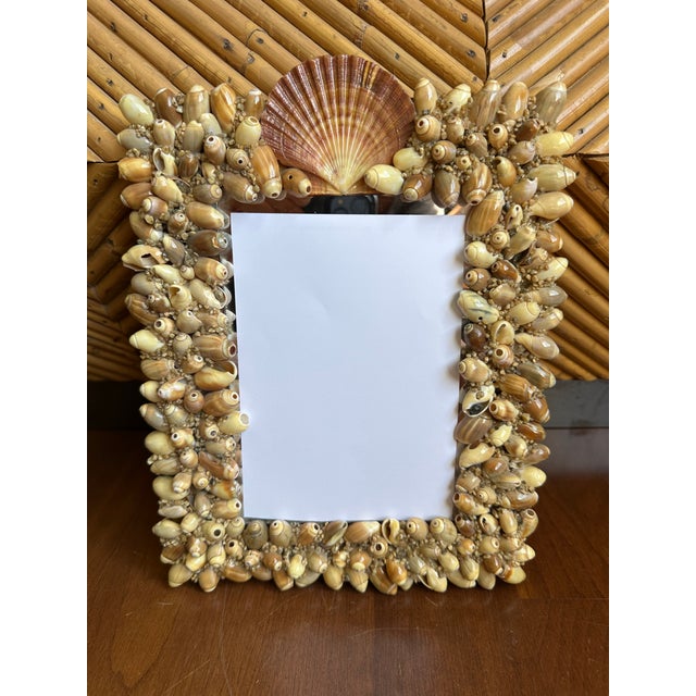 Vintage French Mid Century Seashell Wall Mirror For Sale - Image 10 of 12