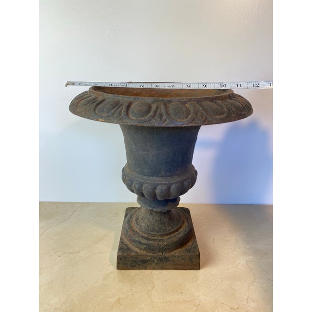 Metal Antique Cast Iron Campana Garden Urn, Egg-and-Dart Rim For Sale - Image 7 of 7