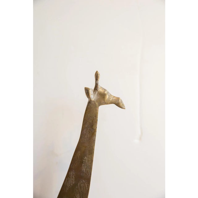 Figurative Vintage African Giraffe For Sale - Image 3 of 8