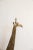 Figurative Vintage African Giraffe For Sale - Image 3 of 8