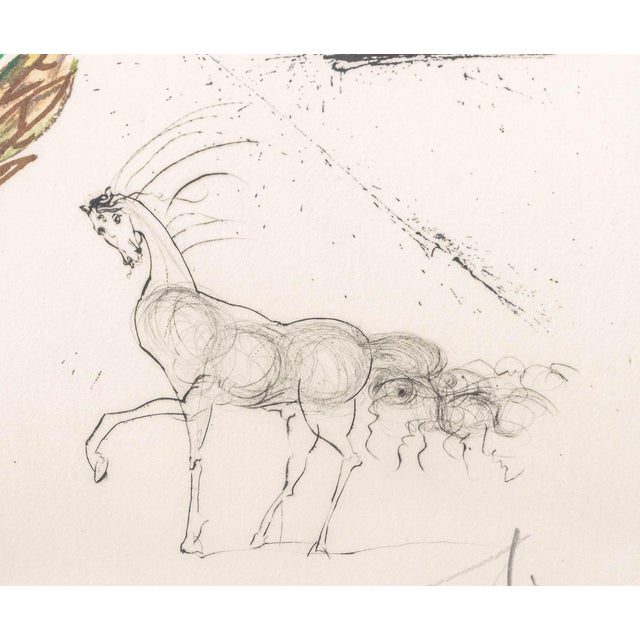 Purple Salvador Dali "Iris (Eyes)" Etching, 1972 For Sale - Image 8 of 13