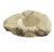 Mid-Century Modern Vintage Italian Mid-Century Modern Hand Carved and Polished Yellow-Cream Alabaster Ashtray/ Catchall For Sale - Image 3 of 5