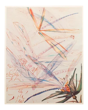 XL 1954 Dali, Dragonflies Original Period Lithograph From From the Mrs. Albert D. Lasker Collection