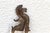 Asian Antique Bronze & Iron Mythological Sarota For Sale - Image 3 of 5