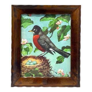 Vintage Red Robin Wild Bird & Nest Print For Sale