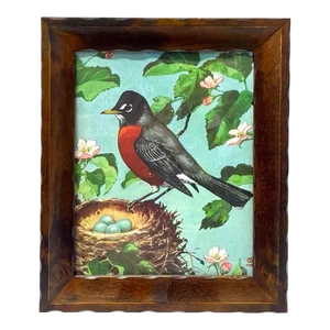 Vintage Red Robin Wild Bird & Nest Print