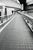 Taco, Monochrome Metropolitan Expressway Route No. 3, Meguro, Tokyo, 2023, Archival Pigment Print For Sale - Image 10 of 14