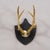 Antique Black Forest Sika Deer Trophy on Black Plaque - Salem Germany 1878 Item e8161 An large antique trophy of a...