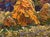 2020s Oil Painting Haystacks in the Field Oleksiy Ivanyuk For Sale - Image 5 of 10