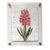 Pink Hyacinth - Hand Textured Pink Flower Art For Sale