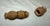 Antique Elaborate 19th-Century Sewing Needle Case Hand Carved Coquilla Nut Box For Sale - Image 4 of 7