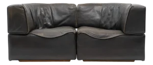Vintage DS-15 Sofa from De Sede, 1970s