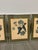 Vintage Wine Grape Varietal Lithographs, Set of Four For Sale - Image 11 of 12