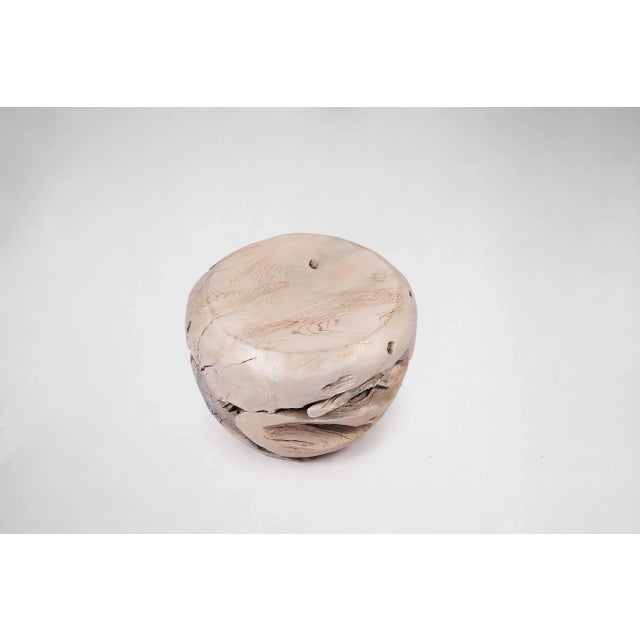 Bleached White Teak Root Accent or Side Table or Stool 30 For Sale In Greensboro - Image 6 of 6