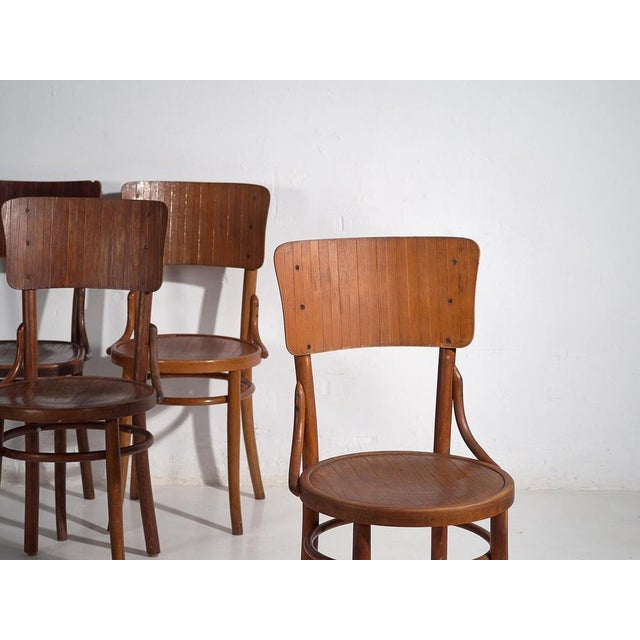 Antique bentwood Thonet chairs (c.1920) Dimensions: Part #1: Width: 44 cm Depth: 45 cm Height: 90 cm Seat: 48 cm Part #2:...