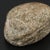 18th Dynasty Ancient Egyptian Carved Diorite Stone Heart Scarab, Circa 1500–1300 Bce For Sale In New York - Image 6 of 18