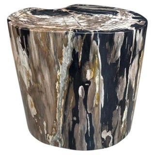 Andrianna Shamaris Impressive Ancient Petrified Wood Side Table For Sale