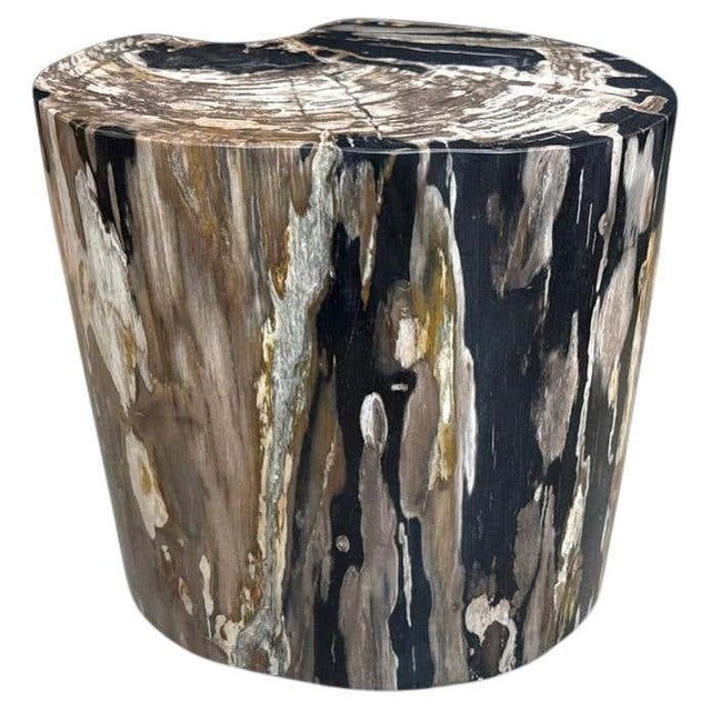 Andrianna Shamaris Impressive Ancient Petrified Wood Side Table For Sale